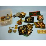 Quantity of various military badges etc