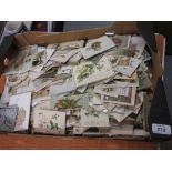 Large quantity of Victorian and early 20th Century greetings cards