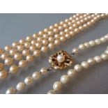 Single row uniform cultured pearl necklace with a 9ct gold clasp,