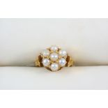 A PEARL AND GOLD CLUSTER RING set with seven untested pearls, in gold. Size G.