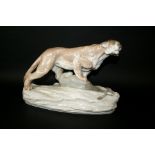 LARGE AMPHORA LIONESS a large model of a Lioness holding it's prey. Marked, Amphora, 8289, 28. 11ins