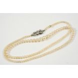 A SINGLE ROW NATURAL PEARL NECKLACE the pearls graduate to a diamond set clasp, 40.5cm. long.