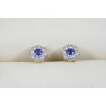 A PAIR OF SAPPHIRE AND DIAMOND CLUSTER STUD EARRINGS each centred with a circular-cut sapphire