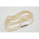 A SINGLE ROW NATURAL PEARL NECKLACE the pearls graduate to a diamond set clasp, 66.5cm. long.