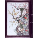 CHINESE FAMILLE ROSE PLAQUE, painted in enamels with peacocks amongst flowering branches, 36 x 26cm