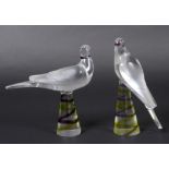 TWO LALIQUE BIRDS two clear and frosted glass birds, the bases with swirling coloured glass (one