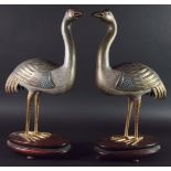 PAIR OF CHINESE CLOISONNE CRANES, modelled standing on hardwood bases, height excluding bases