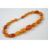 AN AMBER BEAD NECKLACE formed with graduated oval-shaped beads, 40cm. long, 55 grams.