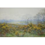 GEORGE MARKS (Fl.1876-1922) GOLDEN GORSE Signed, also signed and inscribed with title on artist's