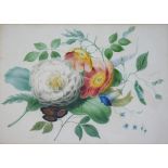 JAMES HOLLAND (1800-1870) FLOWER STUDIES Two, both signed, dated 1827 and 1828, watercolour