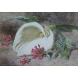 HELEN CORDELIA COLEMAN, ARWS (1847-1884) ARUM LILY; FRESH FLOWERS Two, both signed, watercolour