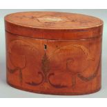 REGENCY SATINWOOD AND INLAID TEA CADDY, of oval form with scrolling neo-classical foliate