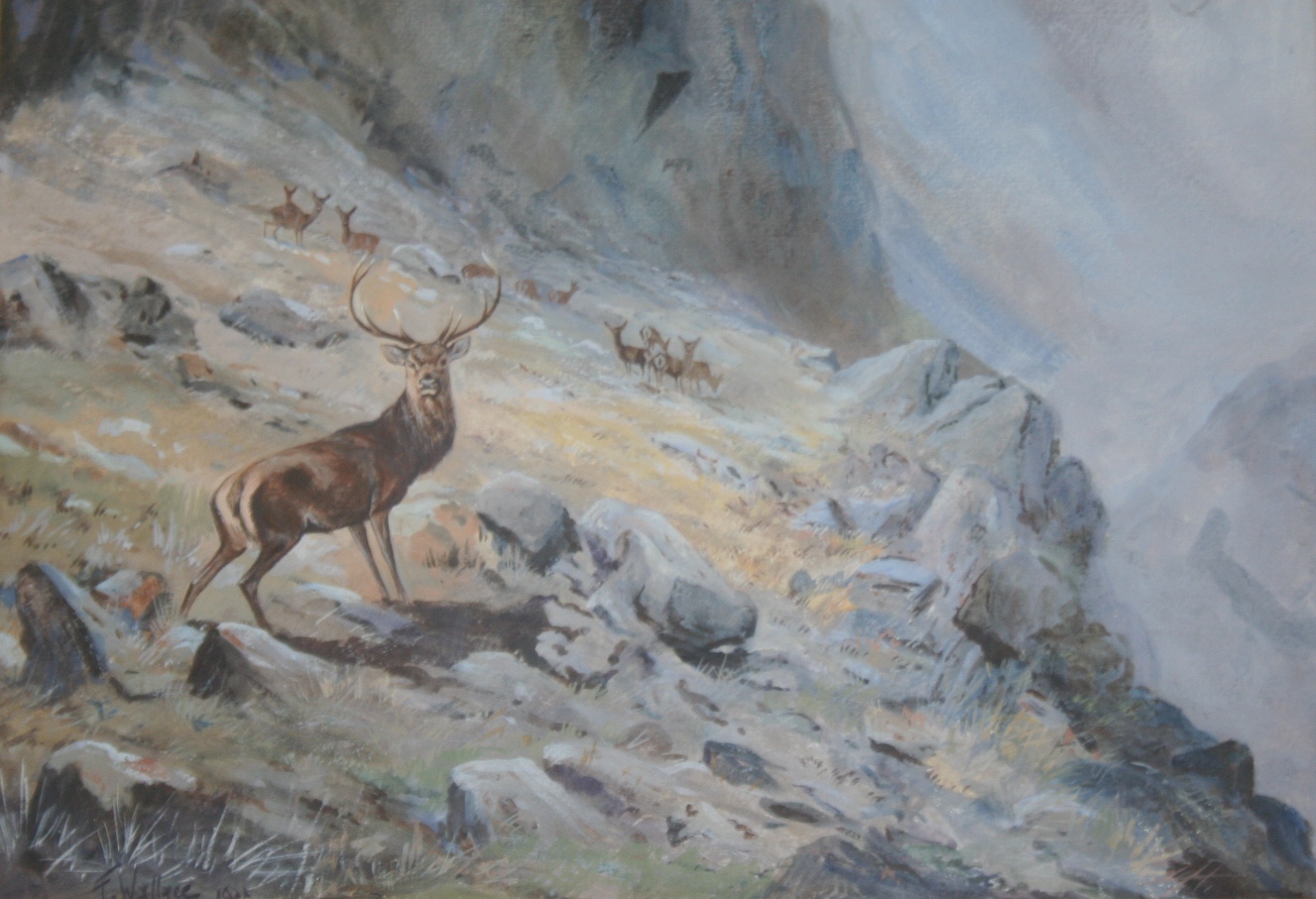 •HAROLD FRANK WALLACE (1881-1962) RED DEER ON A ROCKY SLOPE Signed and dated 22, gouache 23 x 33.5cm