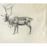 ALFRED WILLIAM STRUTT (1856-1924) STUDY OF A REINDEER Fine black crayon or pencil, indistinctly