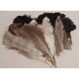 TWO BLACK FEATHER FANS & A COLLECTION OF OSTRICH FEATHERS
