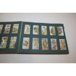 LARGE QTY OF CIGARETTE CARDS in 9 albums, including Wills Coronation Series, Wills First Aid,