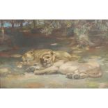 William Walls RSA RSW (1860-1942) Lion and Lioness oil on canvas, signed lower middle right 66cm x