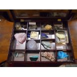 Case of geological specimens