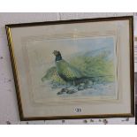 L/E & signed print 'Pheasant' by Berrisford Hill