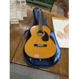 Acoustic Hohner guitar with case