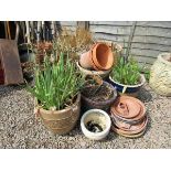 Large collection of assorted planters