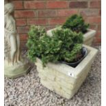 Pair of square stone planters with plants