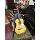 Acoustic guitar & case