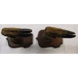 Pair of mounted hooves