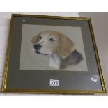 Pastel of Fox hound called 'Worry'