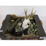 Box of collectables to include animal skull