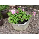 Large octagonal stone planter with contents