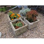 Set of 4 square stone planters with contents