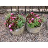 Pair of circular stone planters with contents