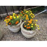 Set of 3 circular stone planters with contents