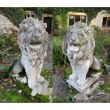 Pair of stone lions - Approx height: 97cm