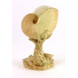 A Royal Worcester blush ivory nautilus shell vase on a naturalistic base, p.d.c.m. 1900, h.