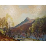 WILLIAM DOUGLAS MACLEOD (Scottish, 1829-1963), 'In the Trossachs', oil on canvas, 59.5cm x 74.