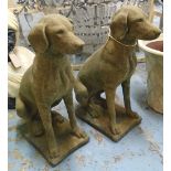 GARDEN DOG STATUES, a pair, 19th century Cotswold stone style, in a weathered finish,