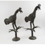 BRONZE COCKERELS, two similar, West African, each perched on tree branches, 65cm and 69cm H.