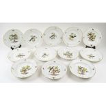 MESSEN PLATES, 14 similar, all hand-decorated with various birds to centre and insects to rim,