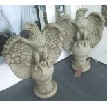 EAGLES, a pair, in reconstituted stone, 70cm H.