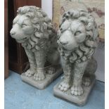 LIONS, a pair, Georgian style, in reconstituted stone, 60cm H.