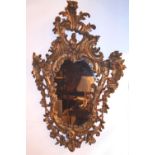 WALL MIRROR, 19th century Italian giltwood with leaf and C scroll decoration,