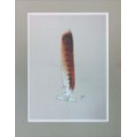 BRITISH BIRDS OF PREY FEATHER STUDIES, a set of six, limited edition [37/100] lithographs,