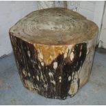 PETRIFIED WOOD PIECE, occasional table, 50cm diam x 44cm H.