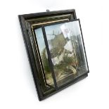 TAXIDERMY, late Victorian study of a woodpecker in a naturalistic setting, framed,