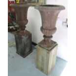 GARDEN URNS, a pair, on plinths Grecian style in distressed blue/grey finish, 135cm H.