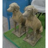 GARDEN DOG STATUES, a pair, 19th century Cotswold stone style weathered finish, 75cm H x 55cm.