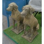 GARDEN DOG STATUES, a pair, 75cm H x 55cm.