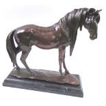 EQUESTRIAN BRONZE, study of a stallion, marble base, 40cm nose to tail x 40cm H overall.